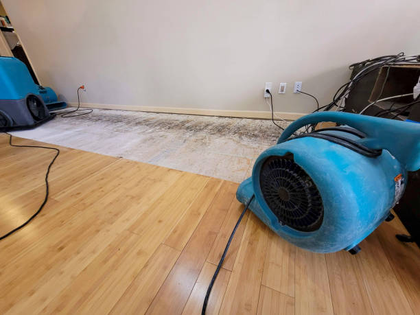 Professional Water Damage Repair technician working in Mendon, IL